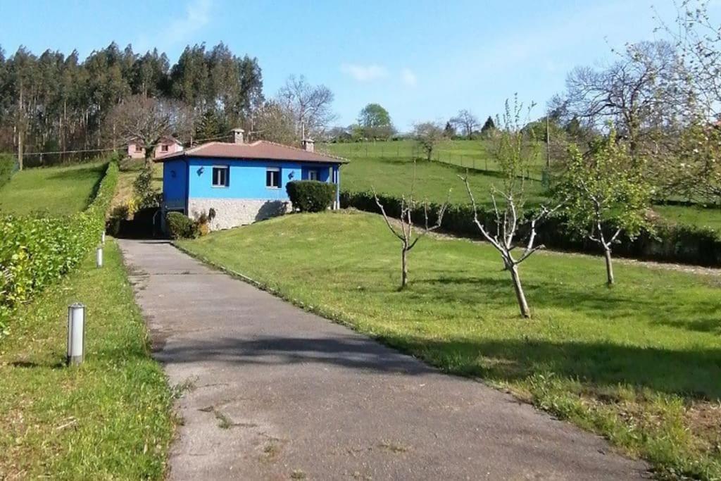 La casa azul: Un lugar mágico y acogedor en finca Juncedo Esterno foto