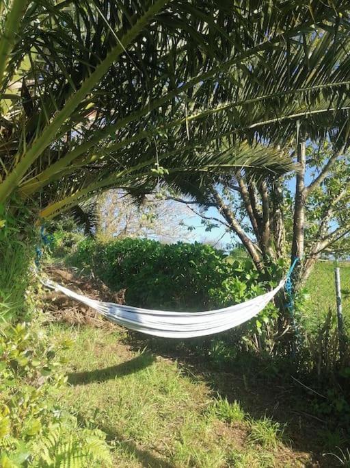 La casa azul: Un lugar mágico y acogedor en finca Juncedo Esterno foto