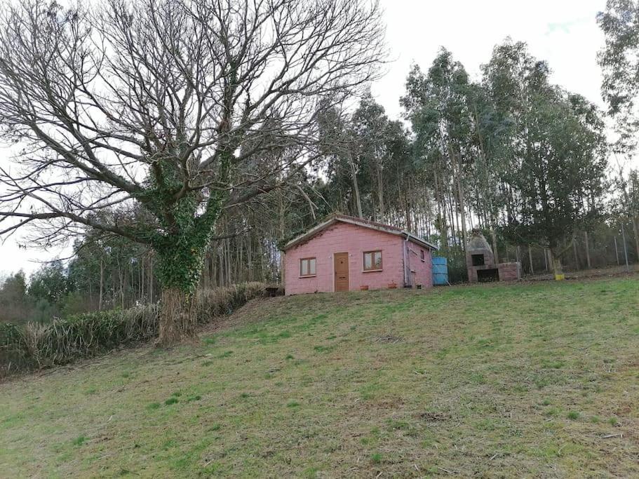La casa azul: Un lugar mágico y acogedor en finca Juncedo Esterno foto