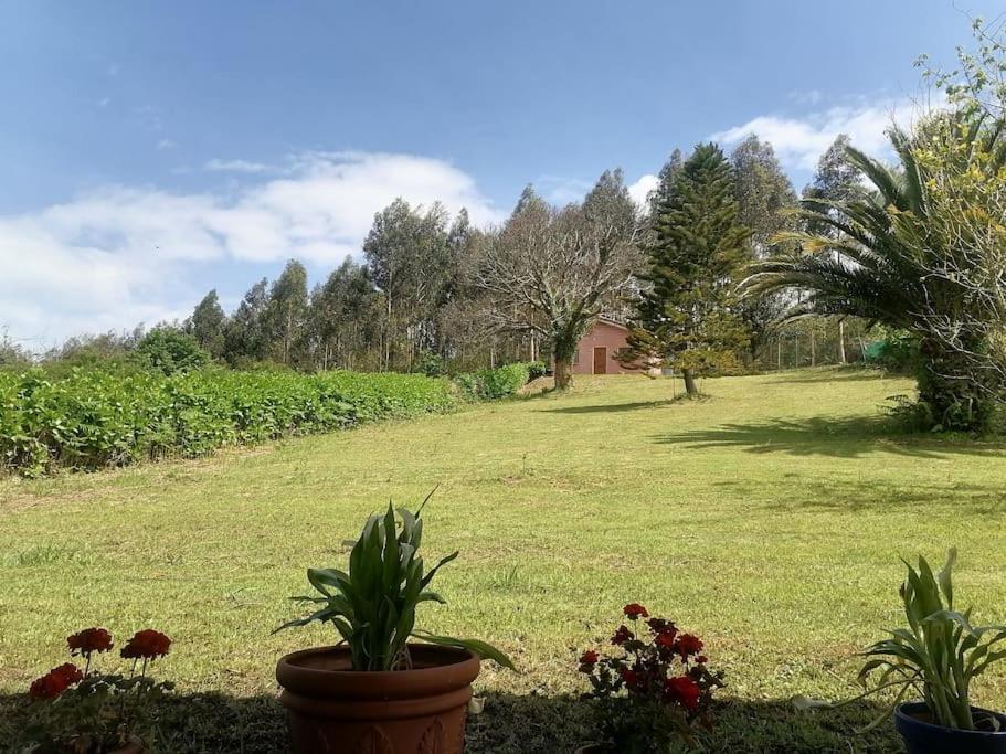 La casa azul: Un lugar mágico y acogedor en finca Juncedo Esterno foto