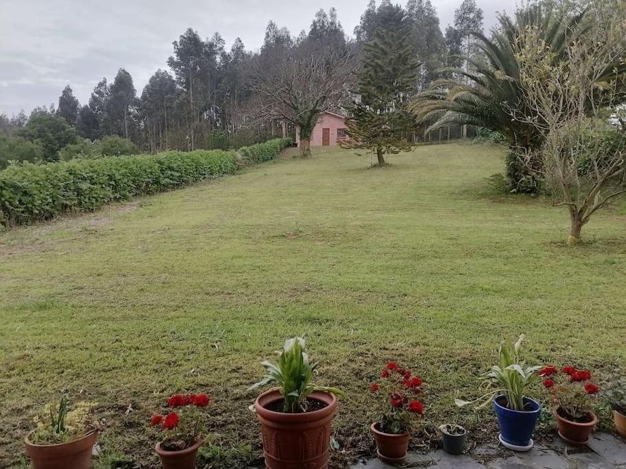 La casa azul: Un lugar mágico y acogedor en finca Juncedo Esterno foto