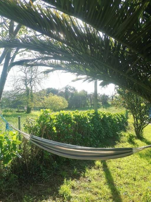 La casa azul: Un lugar mágico y acogedor en finca Juncedo Esterno foto