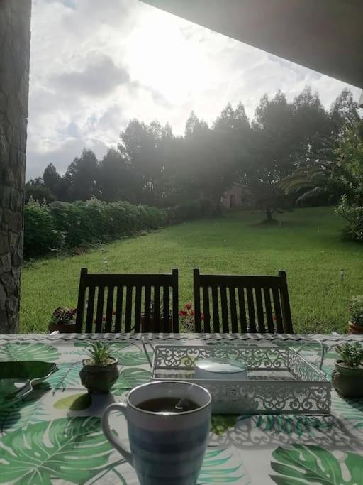 La casa azul: Un lugar mágico y acogedor en finca Juncedo Esterno foto