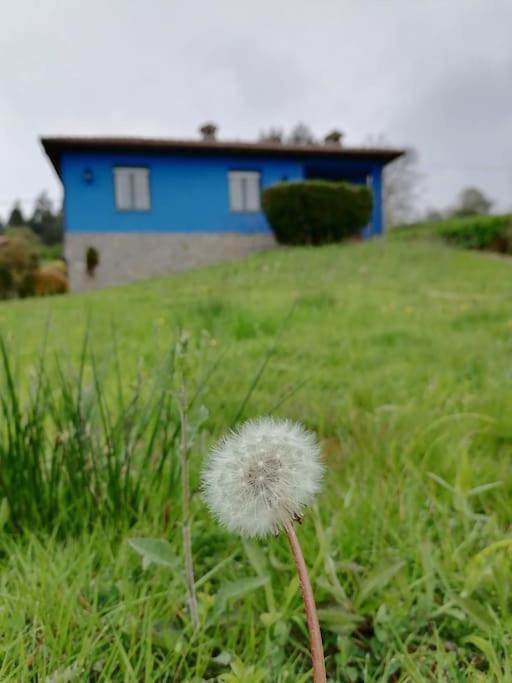 La casa azul: Un lugar mágico y acogedor en finca Juncedo Esterno foto